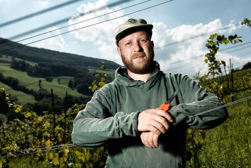 Tom Litwan aus dem Aarguau begeistert Weinliebhaber im In- und Ausland.