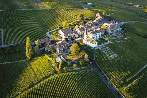 Die Domaine La Colombe.