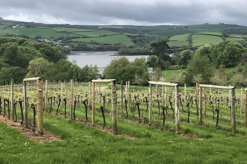 Sandridge plot over the River Dart