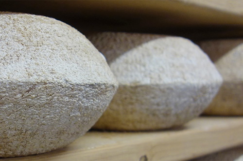Berkswell Cheese, Ram Hall Dairy.