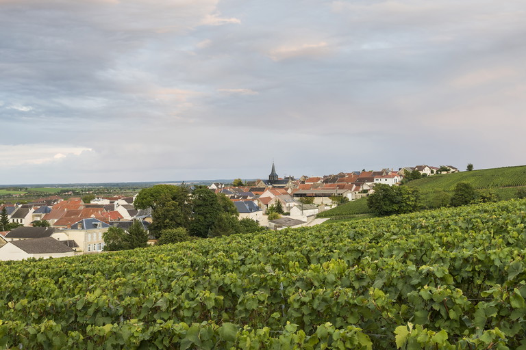 Village of Villers-Marmery in the Champagne district, France.