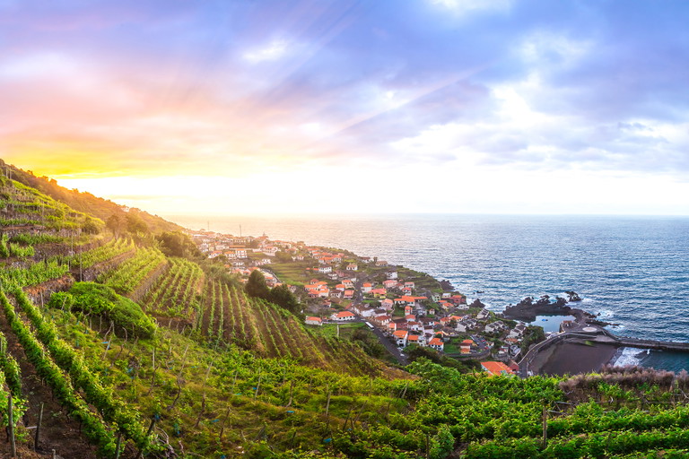 Vineyards of Madeira at sunset, above Seixal.
