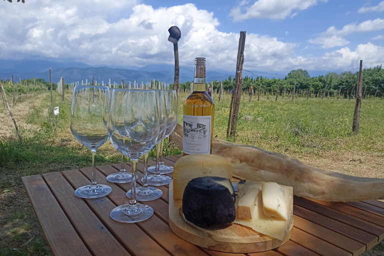 Rostomaant Marani family vineyard.