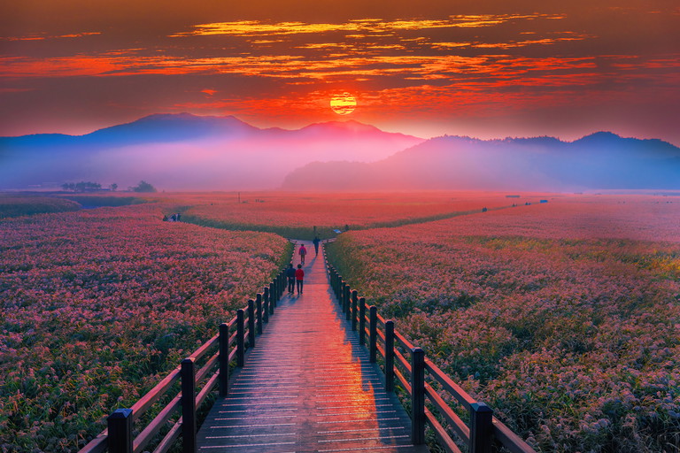 Suncheon bay, South Korea.