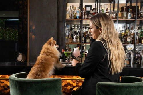 Smith &amp; Whistle bar.