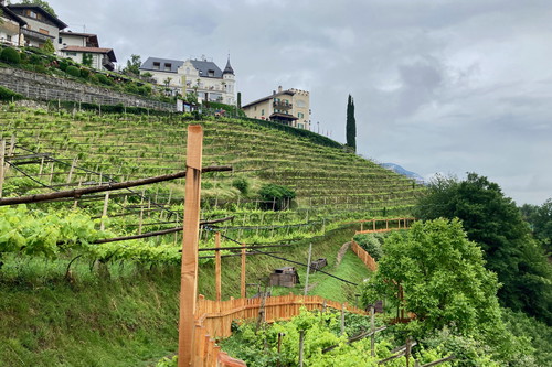 Hotel Mair am Ort with a dog playground amidst the vineyards.