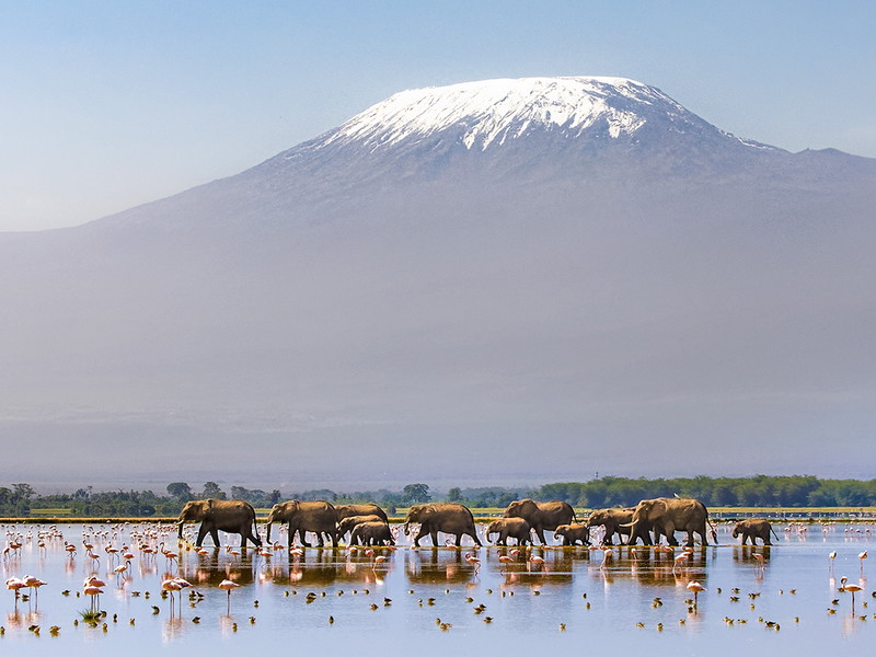 Amboseli National Park, Kenya