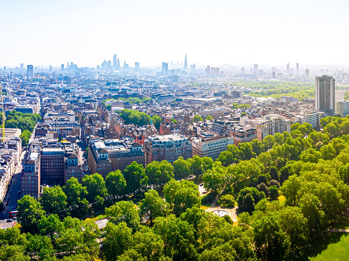 London´s sustainable restaurant scene is growing