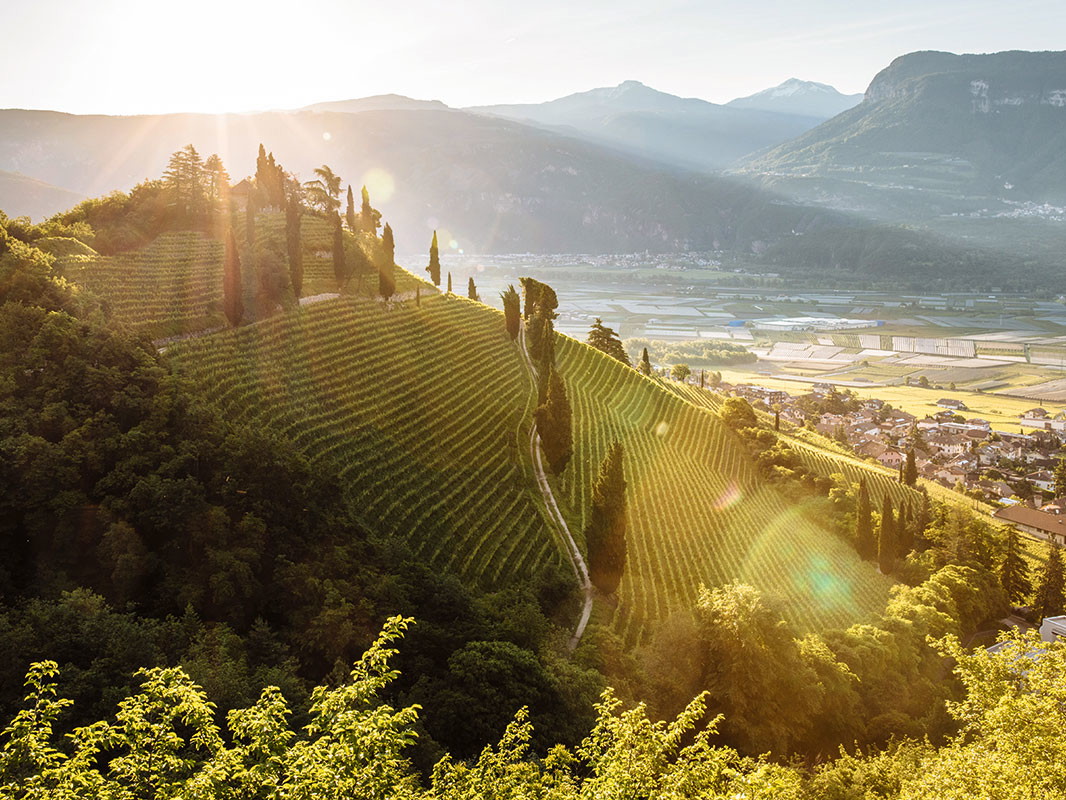South Tyrol