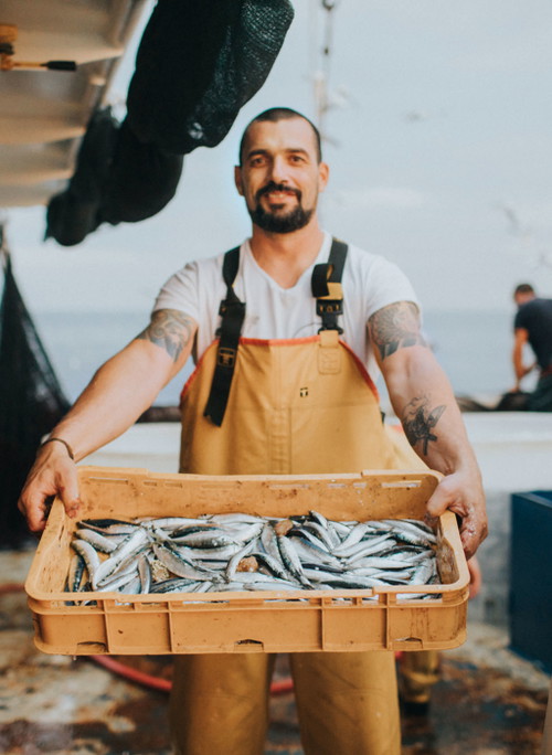 Best of Fisch. David Skoko ist Fischer in der vierten Generation und Küchenchef in der »Konoba Batelina«.
