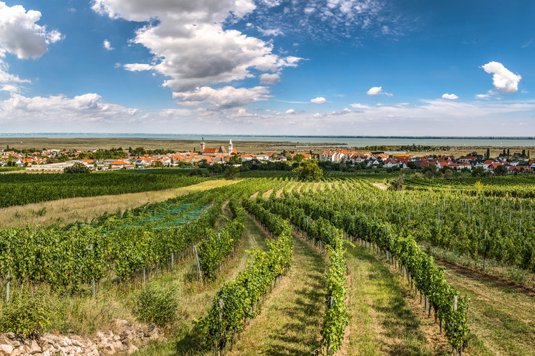 Der Neusiedler See ist kein Eiszeit-Überbleibsel, Regen und Verdunstung bestimmen seinen Wasserhaushalt.
