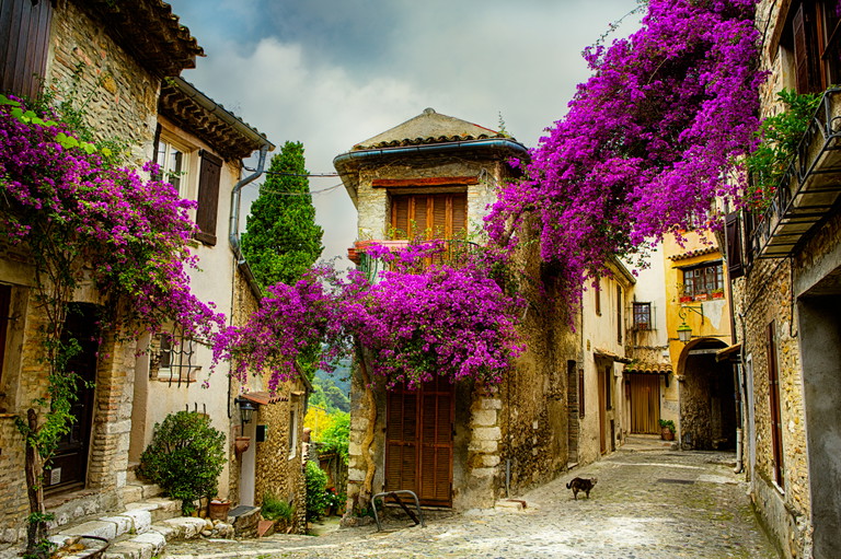 Die Provence: Auch optisch ein Genuss.