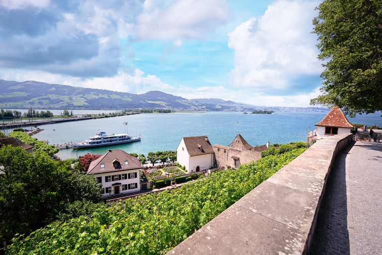 Blick aus den Seehalden des Orts Meilen über Räuschlingreben und Zürichsee.