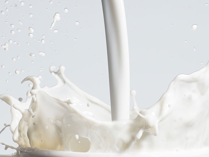 Vielseitige Zutat: Die gute alte Milch.