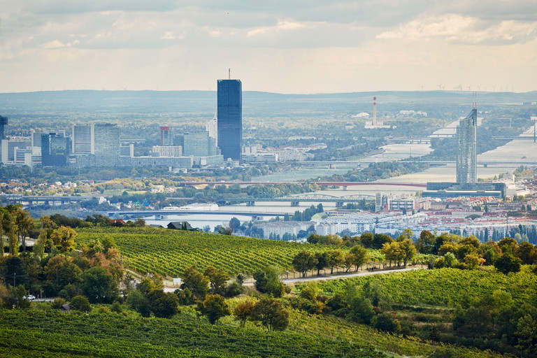 Der Blick von den Weinberger auf Nussdorf und Heiligenstadt. Hier könnte ein Teil der Zukunft des österreichischen Weins wachsen.