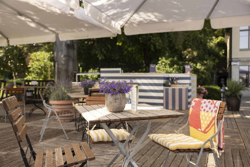 Das neue Pop-Up «Jardin Zürichberg».
