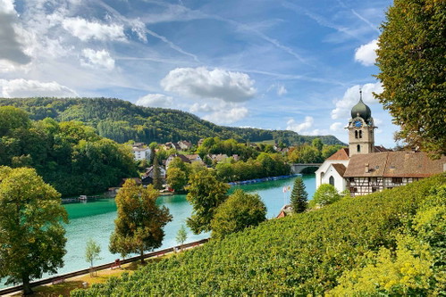Die Rebberge von Mathias Bechtel in Eglisau am Rhein. 