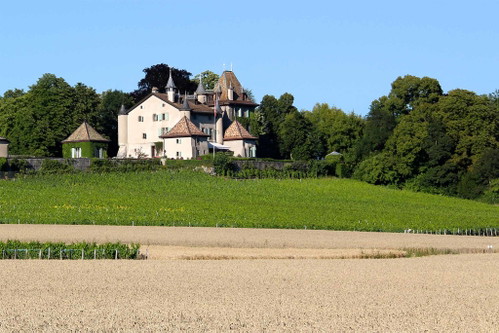 Die Domaine Château-du-Crest.