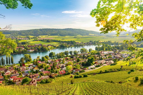 Die wunderschön gelegenen Rebberge von Stein am Rhein. Rebbau wird hier seit mehr als 1000 Jahren betrieben.