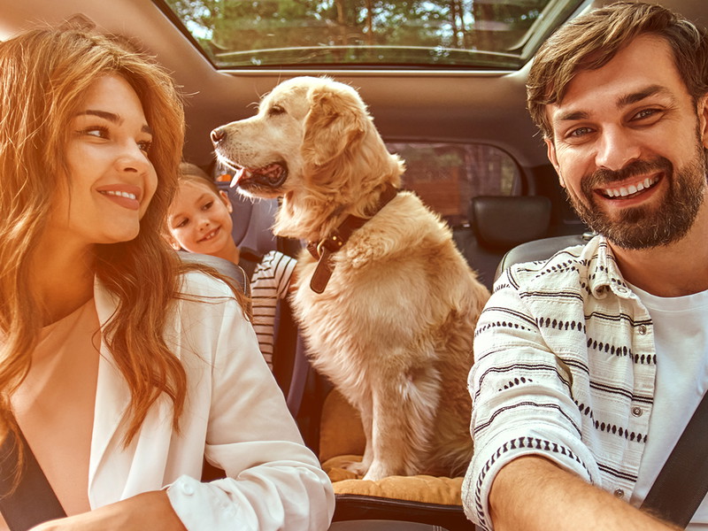 Die besten Tipps für Autoreisen im Sommer - Falstaff