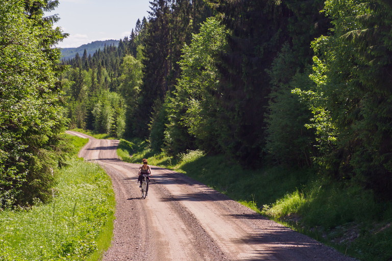 Radtour in Nordschweden im Sommer.