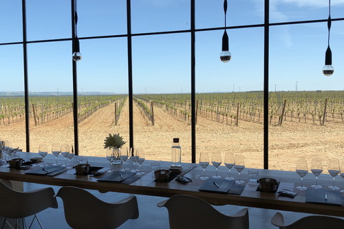 Finca Montepedroso's tasting room overlooking the vineyard.