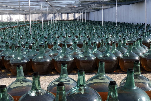Bodegas De Alberto's Dorado are oxidatively aged outdoor.