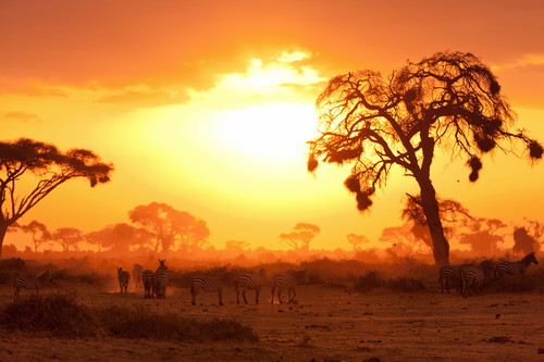 Masai Mara.
