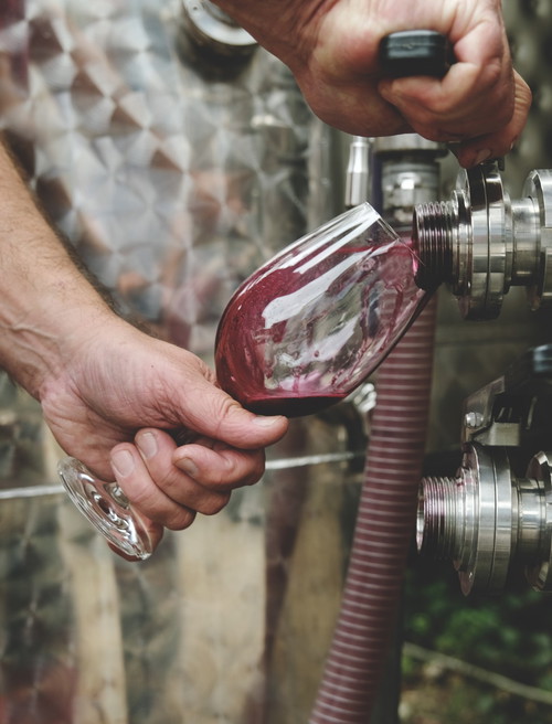 Blaufränkisch-Weine der Region Leithaberg DAC bestechen durch Finesse und Mineralität.