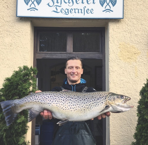 Tegernsee-Fischer Simpert Ernst fährt jeden Morgen auf den See und holt die Netze ein. Der Fang wandert anschließend in die umliegende Gastronomie oder in den eigenen Fischladen.