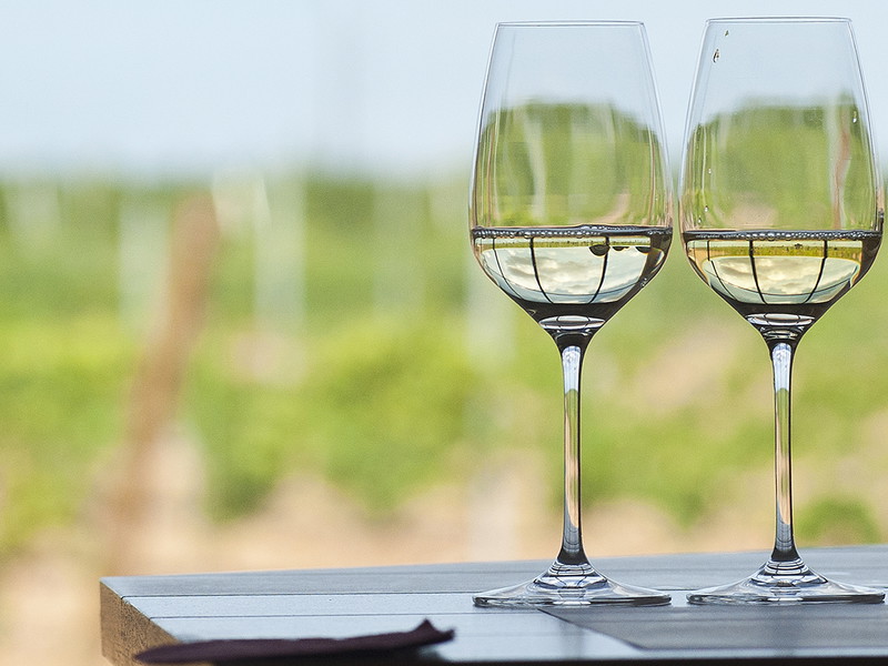 Most Verdejos are fruity and refreshing but producers are making more complex styles