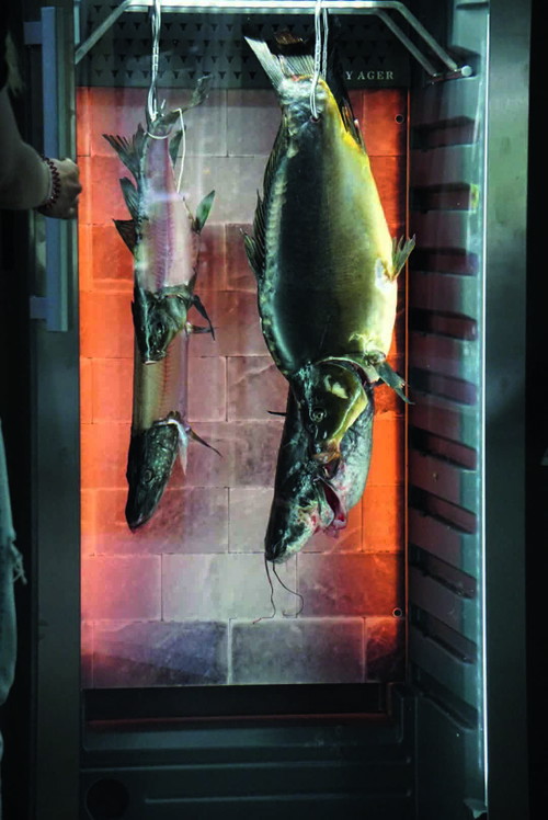 Vom See in den Dry-Ager: Schinken ist das wohl außergewöhnlichste Produkt, zu dem Fisch in Köllnitz verarbeitet wird.