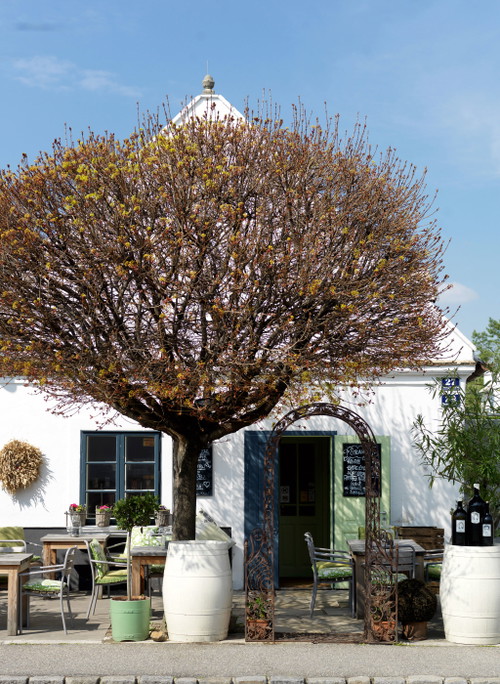 Der legendäre »Taubenkobel«  in Schützen am Gebirge begeistert mit einer einzigartigen Mischung aus exquisiter Gourmetküche, malerischer Atmosphäre und herzlicher Gastfreundschaft. 