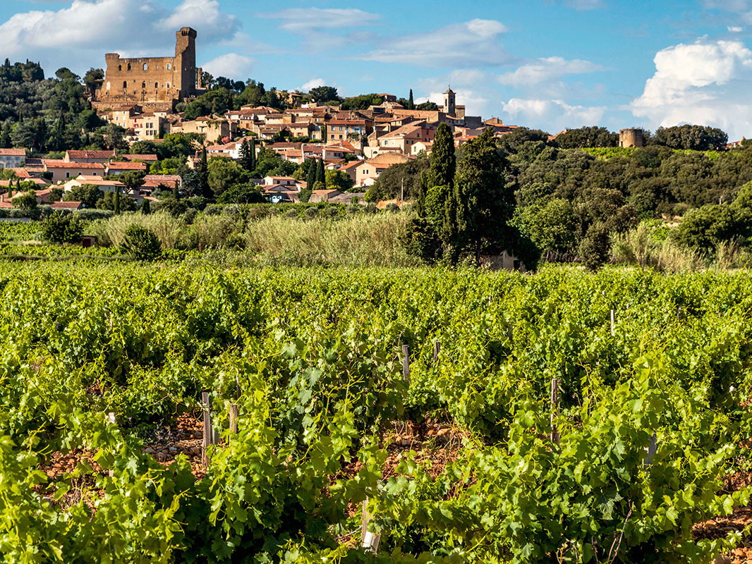 Die Ruinen der päpstlichen Sommerresidenz aus dem 13. Jahrhundert überragen weithin sichtbar den Ort Châteauneuf- du-Pape in Südfrankreich.