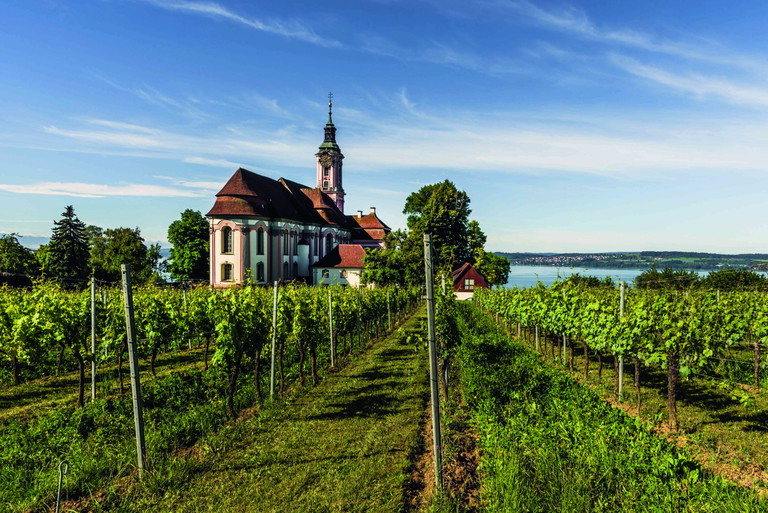 Die nach Entwürfen von Balthasar Neumann erbaute Wallfahrtskirche Birnau  ist von 110 Hektar Reben umgeben. 