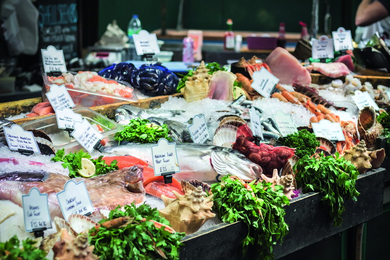 Obwohl das Fischsortiment im Fachhandel vielfältig ist und auch viele Süßwasserfische umfasst, beschränken sich die meisten Kundenwünsche auf Lachs oder Thunfisch.