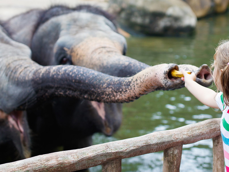 Zoo von Singapur