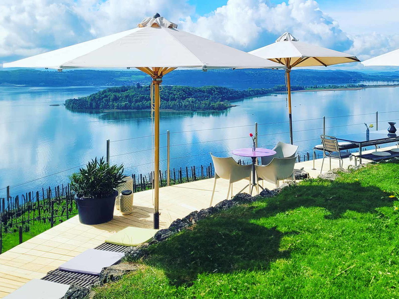 Blick über die Rebhänge des Weinguts Krebs & Steiner auf den Bielersee.