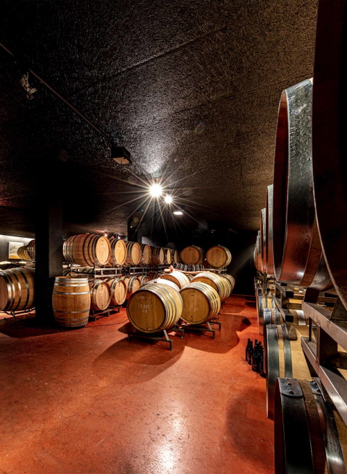 Der Barriquekeller des Weingut Wegelin.