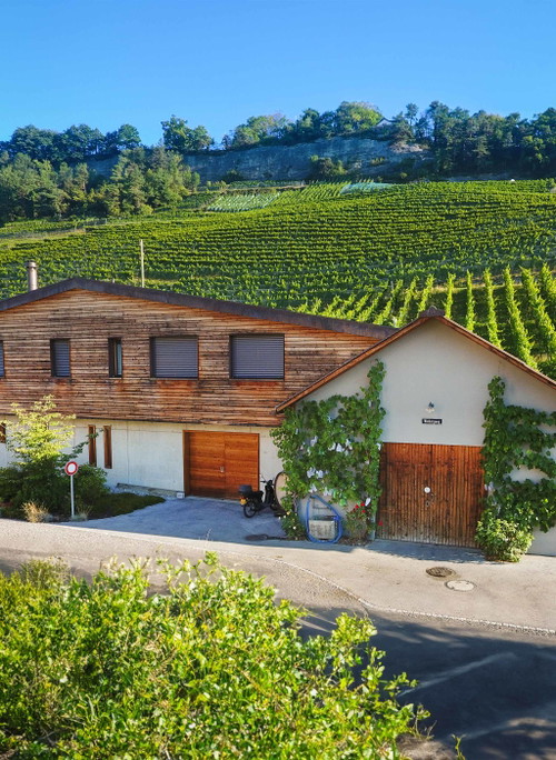 Das Weingut am Steinig Tisch in Thal.