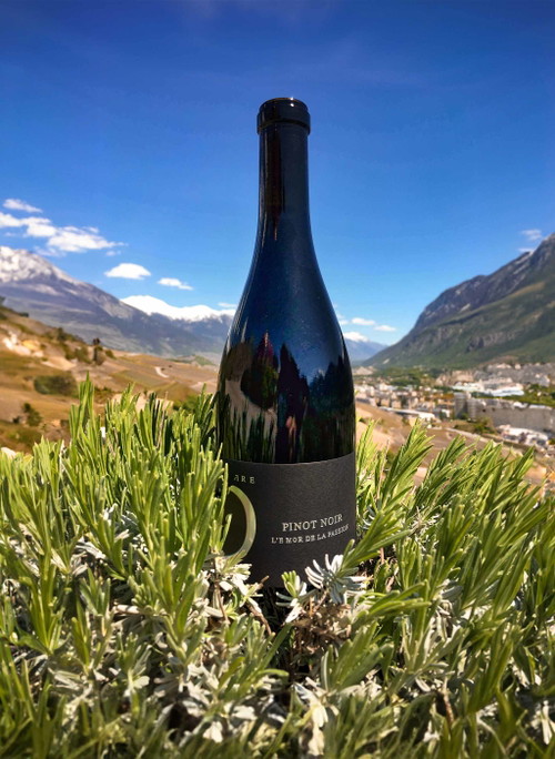 Der Pinot Noir L'Enfer du Calcaire.