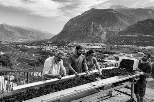 Dr. Patrick Regamey vom Walliser Weingut Histoire D’Enfer (l.).