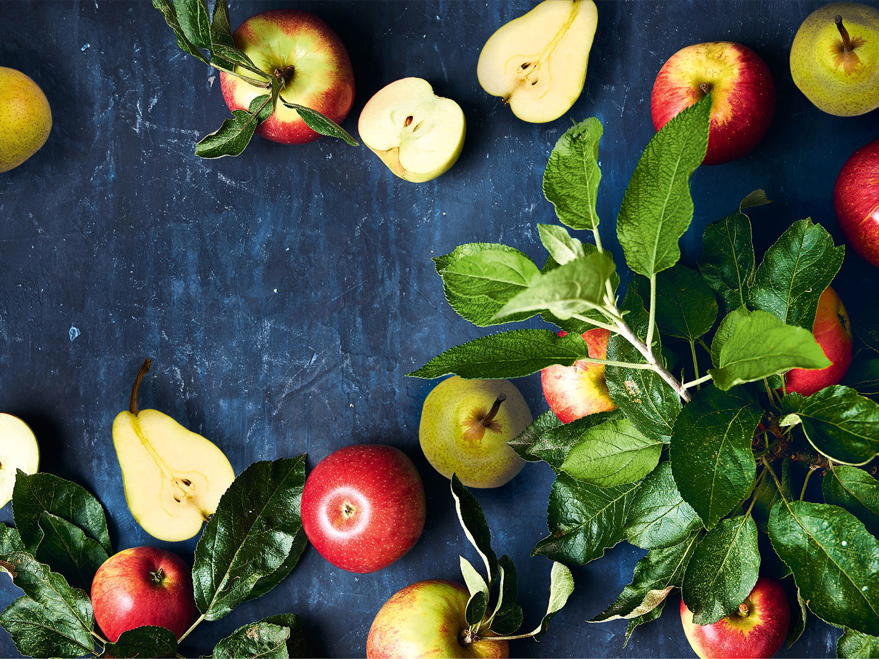 Schon seit sehr langer Zeit sind Apfel und Birne Begleiter des Menschen.