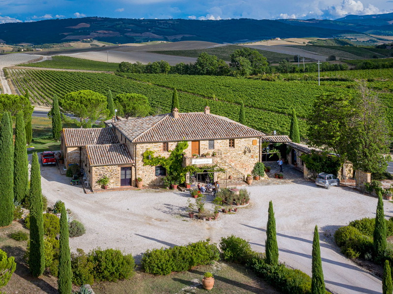 Reife Sangiovese-Trauben sind die Grundlage, aus der bei Casanova di Neri herausragender Brunello erzeugt wird. 