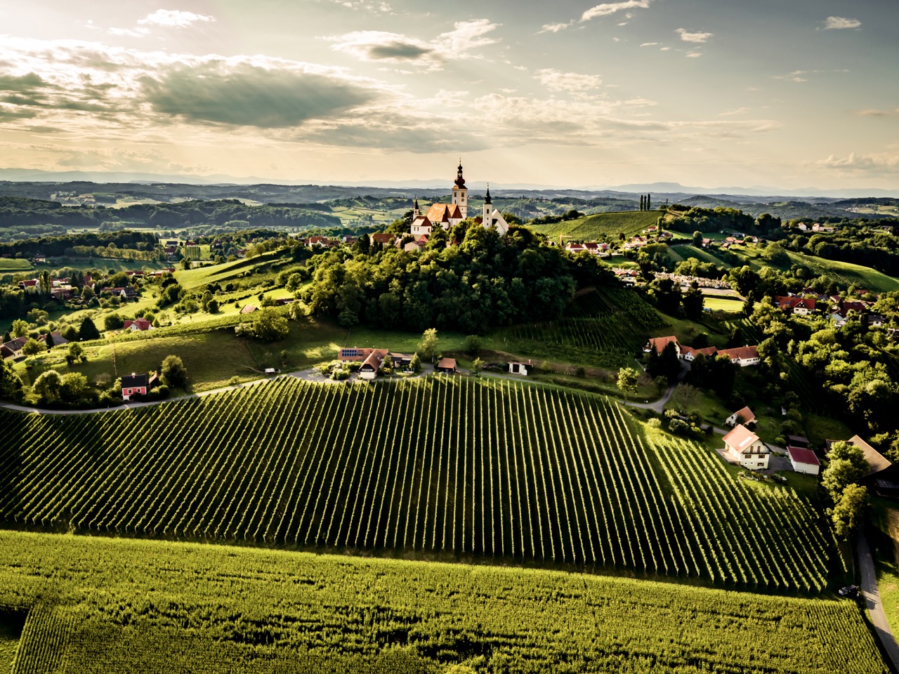 Vinum, Vielfalt und Vulkane: Vulkanland Weine aus der Südsteiermark ...