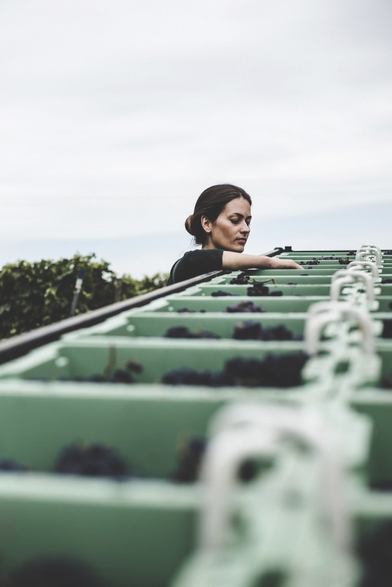 Sophie Christmann gehört zu der jungen Generation von Pinot-begeisterten Winzerinnen.