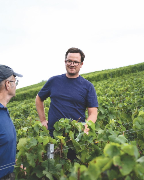 Sebastian Fürst hat drei große Pinot-Terroirs: Centgrafenberg und Hundsrück in Bürgstadt und die Terrassen des Klingenberger Schlossbergs.
