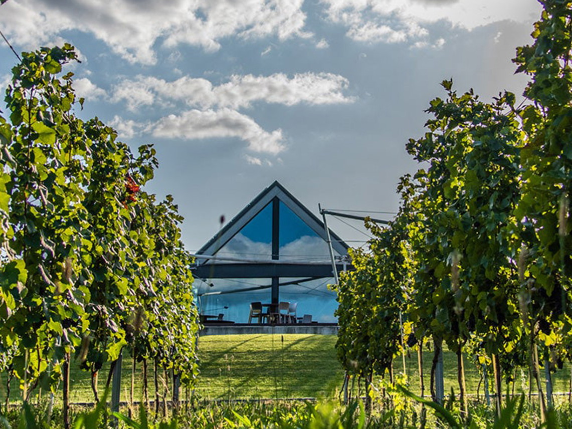 The award-winning wine architecture at Etyeki Kúria