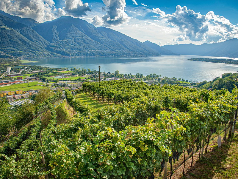 Im Süden des Kantons Tessin trifft Schweizer Gastfreundschaft auf die Kultur Italiens.