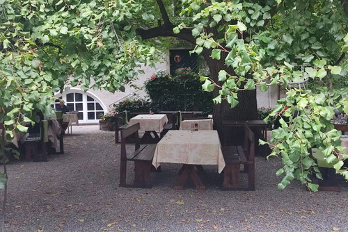Die Kaiserlinde im Nikolaihof